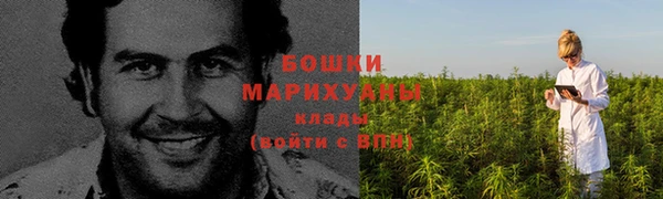 Альфа ПВП Богородск