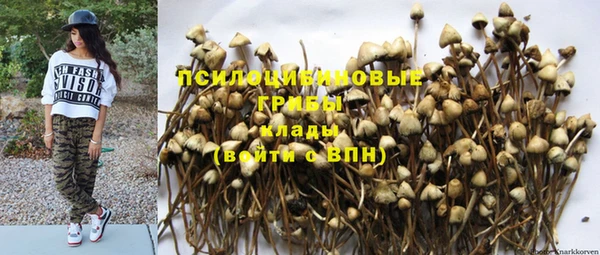 Альфа ПВП Богородск