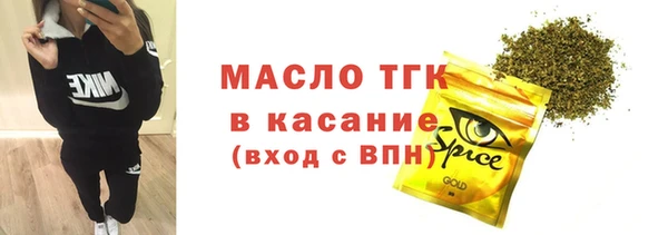 стаф Богданович