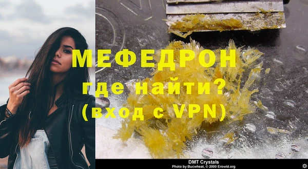 стаф Богданович