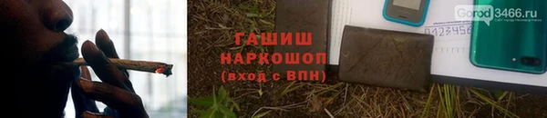 стаф Богданович