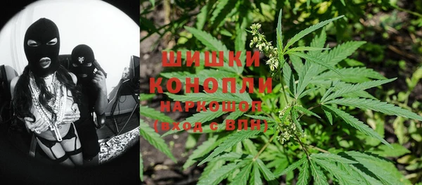 стаф Богданович