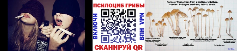 hydra как войти  купить  сайты  Невель  Галлюциногенные грибы мухоморы 